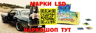 ешки Новодвинск