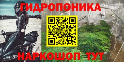 СК Новокубанск