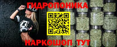 СК Новокубанск