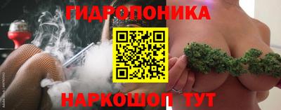 ешки Новодвинск