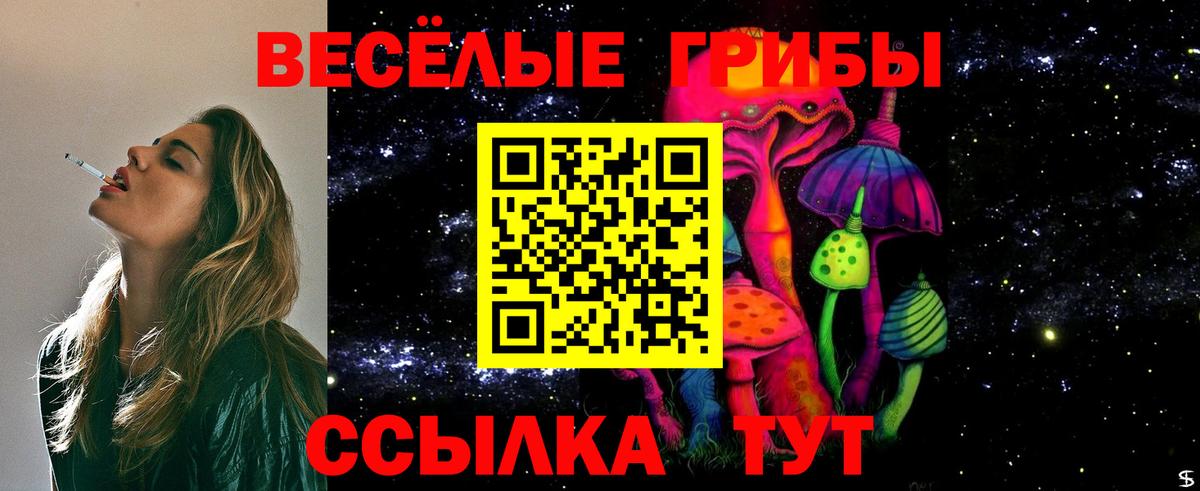 Галлюциногенные грибы ЛСД  Вход с VPN  Псилоцибиновые грибы Magic Shrooms  Хасавюрт 