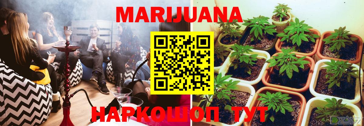 Марихуана LSD WEED  Каннабис White Widow  Хасавюрт  Вход с VPN  Каннабис Amnesia 